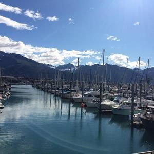 Meet your Posher, Suzanne